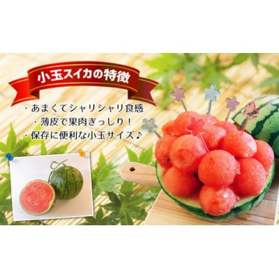 熊本県産 小玉スイカ 2玉