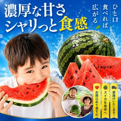 熊本県産 小玉すいか 2玉