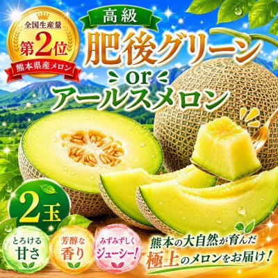 熊本県産メロン 肥後グリーンorアールスメロン 2玉