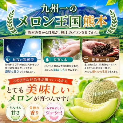 熊本県産メロン 肥後グリーンorアールスメロン 2玉