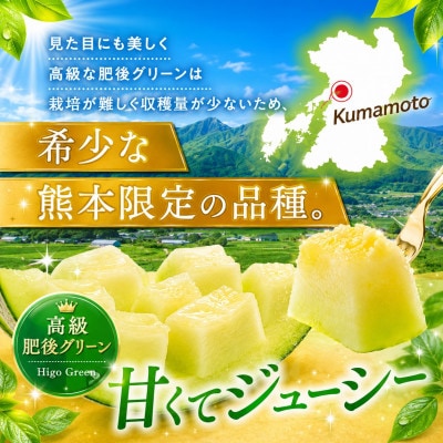 熊本県産メロン 肥後グリーンorアールスメロン 2玉