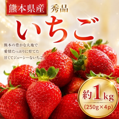 【先行予約】玉名産 いちご「ゆうべに」or「恋みのり」約1kg(250g×4パック)　
