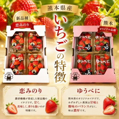 【先行予約】玉名産 いちご「ゆうべに」or「恋みのり」約1kg(250g×4パック)　