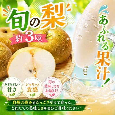 厳選 旬の梨 約3kg(玉名市)【8月下旬より順次発送】