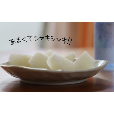 厳選 旬の梨 約3kg(玉名市)【8月より順次発送】