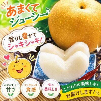 厳選 旬の梨 約3kg(玉名市)【8月下旬より順次発送】