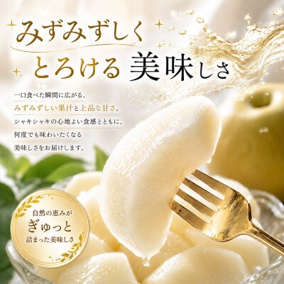 厳選 旬の梨 約3kg(玉名市)【8月下旬より順次発送】