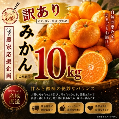 【先行予約】熊本県産 温州 みかん　訳あり約10kg(玉名市)