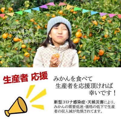 ご家庭用　熊本県産 みかん　約10kg(玉名市)