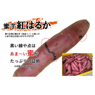 【先行受付・10月より順次発送】熊本県産さつまいも約10kg シルクスイートor紅はるか(玉名市)