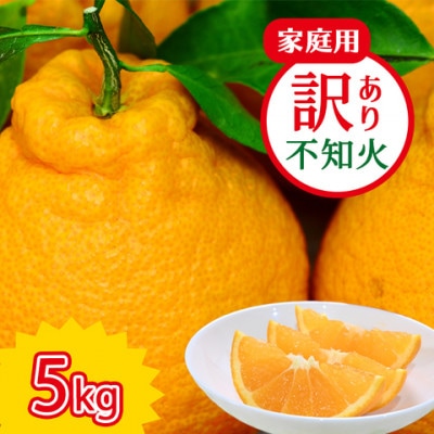 熊本県産訳あり不知火　約5kg(玉名市)