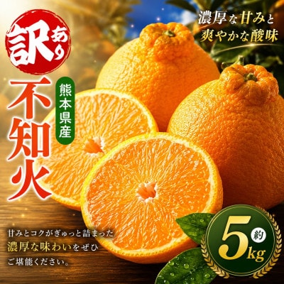【先行予約】熊本県産訳あり不知火　約5kg(玉名市)