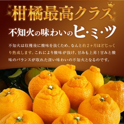 熊本県産訳あり不知火　約5kg(玉名市)