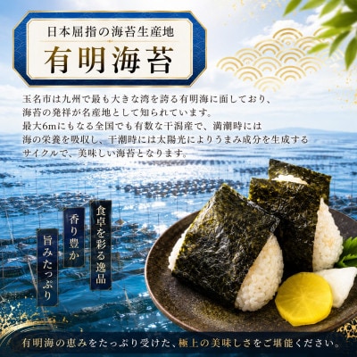 《訳あり品》九州有明海産海苔 半切200枚(100枚×2)(玉名市)