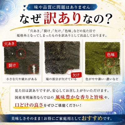 《訳あり品》九州有明海産海苔 半切200枚(100枚×2)(玉名市)