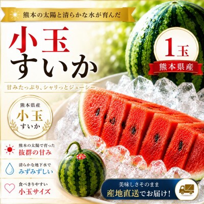 小玉すいか　1玉(玉名市)