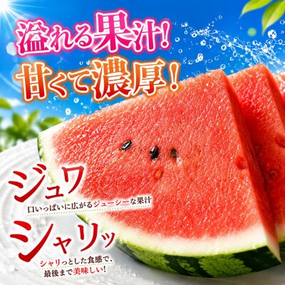 小玉すいか　1玉(玉名市)