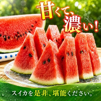 小玉すいか　1玉(玉名市)