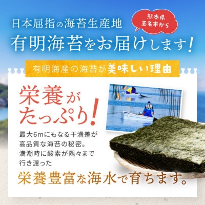 有明海産　味もみのり　500g(1袋100g×5)(玉名市)