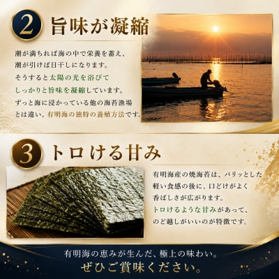 有明海産　味もみのり　500g(1袋100g×5)(玉名市)