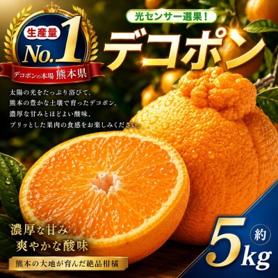 【先行予約】光センサー 選果! 熊本県産 デコポン 約5kg(玉名市)