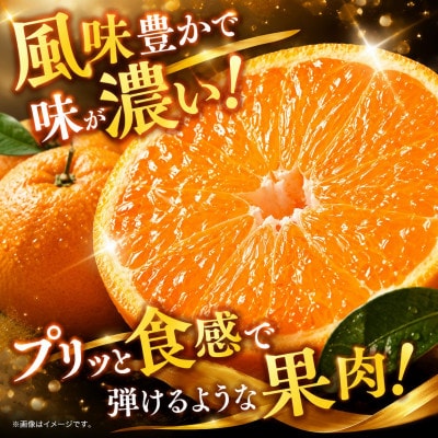 【先行予約】光センサー 選果! 熊本県産 デコポン 約5kg(玉名市)