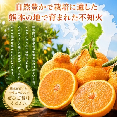 【先行予約】光センサー 選果! 熊本県産 デコポン 約5kg(玉名市)