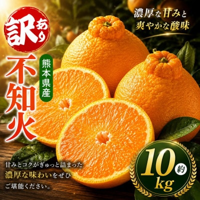 【先行予約】ご家庭用 不知火 約10kg(玉名市)