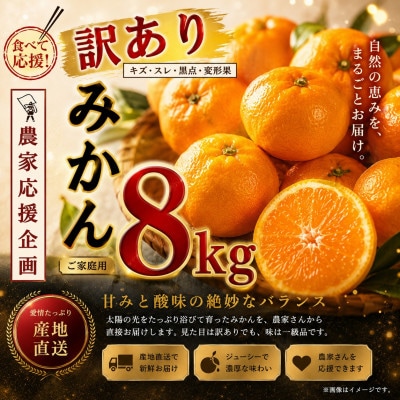 【先行予約】熊本県産 温州 みかん 約8kg(玉名市)