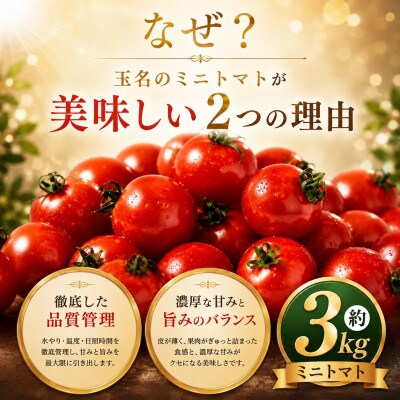 【先行予約】熊本県産 ミニトマト 約3kg(玉名市)