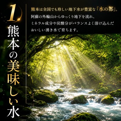 【先行予約】熊本県産 ミニトマト 約3kg(玉名市)