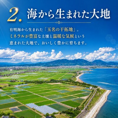 【先行予約】熊本県産 ミニトマト 約3kg(玉名市)