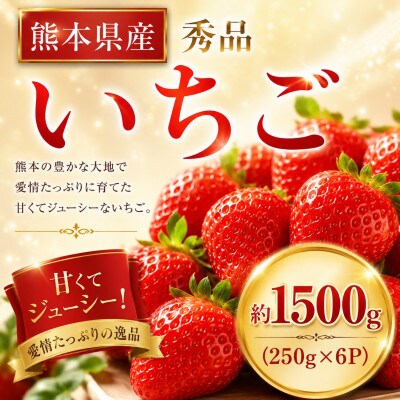 【先行予約】玉名産 いちご「ゆうべに」or「恋みのり」約1500g(250g×6パック)(玉名市)