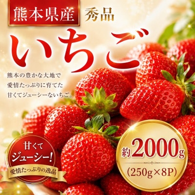 【先行予約】玉名産 いちご「ゆうべに」or「恋みのり」約2000g(250g×8パック)(玉名市)