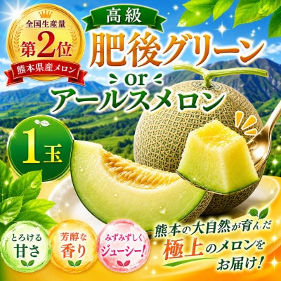 熊本県産メロン 肥後グリーンorアールスメロン 1玉 (玉名市)