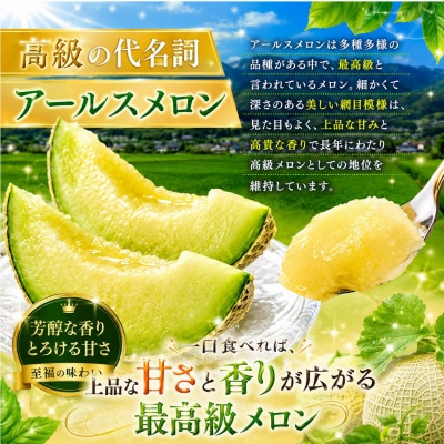 熊本県産メロン 肥後グリーンorアールスメロン 1玉 (玉名市)