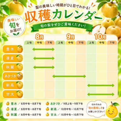 厳選 旬の梨 約10kg(玉名市)