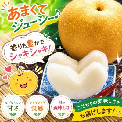 厳選 旬の梨 約5kg (玉名市)