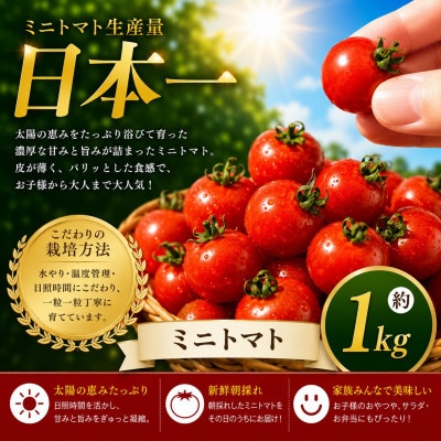 【先行予約】熊本県産 ミニトマト 約1kg(玉名市)
