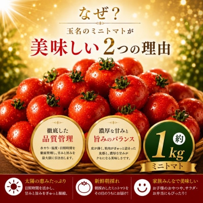 【先行予約】熊本県産 ミニトマト 約1kg(玉名市)