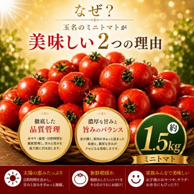 【先行予約】熊本県産 ミニトマト 約1.5kg(玉名市)