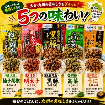 九州各地　名産ふりかけ5種セット!(玉名市)