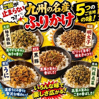 九州各地　名産ふりかけ5種セット!(玉名市)