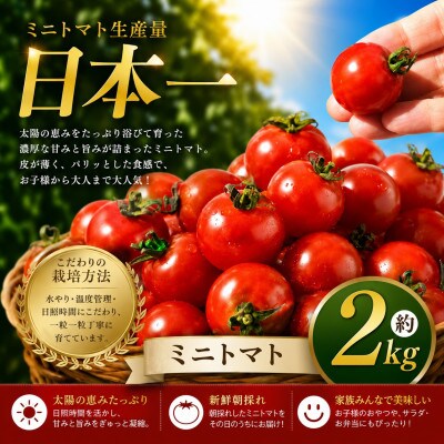 【先行予約】熊本県産 ミニトマト 約2kg(玉名市)