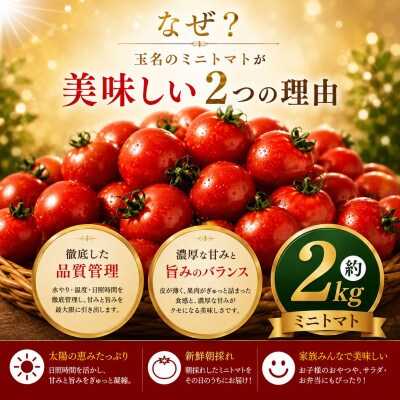 【先行予約】熊本県産 ミニトマト 約2kg(玉名市)