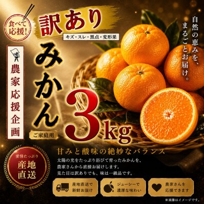【先行予約】熊本県産　温州みかん　約3kg(玉名市)