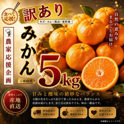 【先行予約】熊本県産 温州 みかん 約5kg(玉名市)