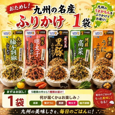 おためし!九州の名産ふりかけ 1袋(玉名市)