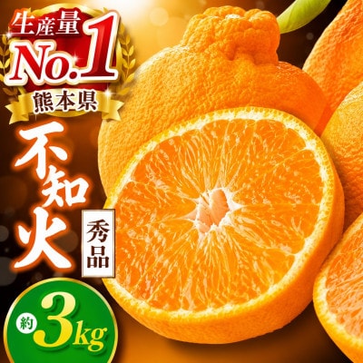 【先行予約】熊本県産不知火　秀品約3kg(玉名市)
