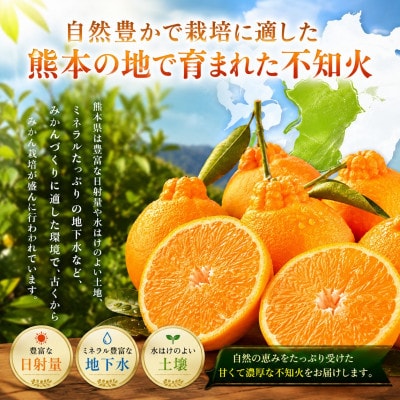 【先行予約】熊本県産不知火　秀品約3kg(玉名市)
